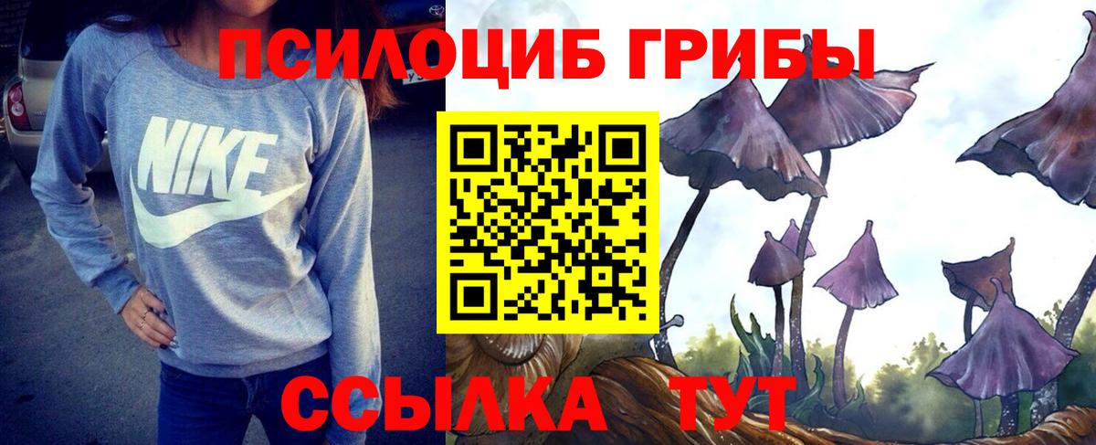 Псилоцибиновые грибы MAGIC MUSHROOMS Тихорецк